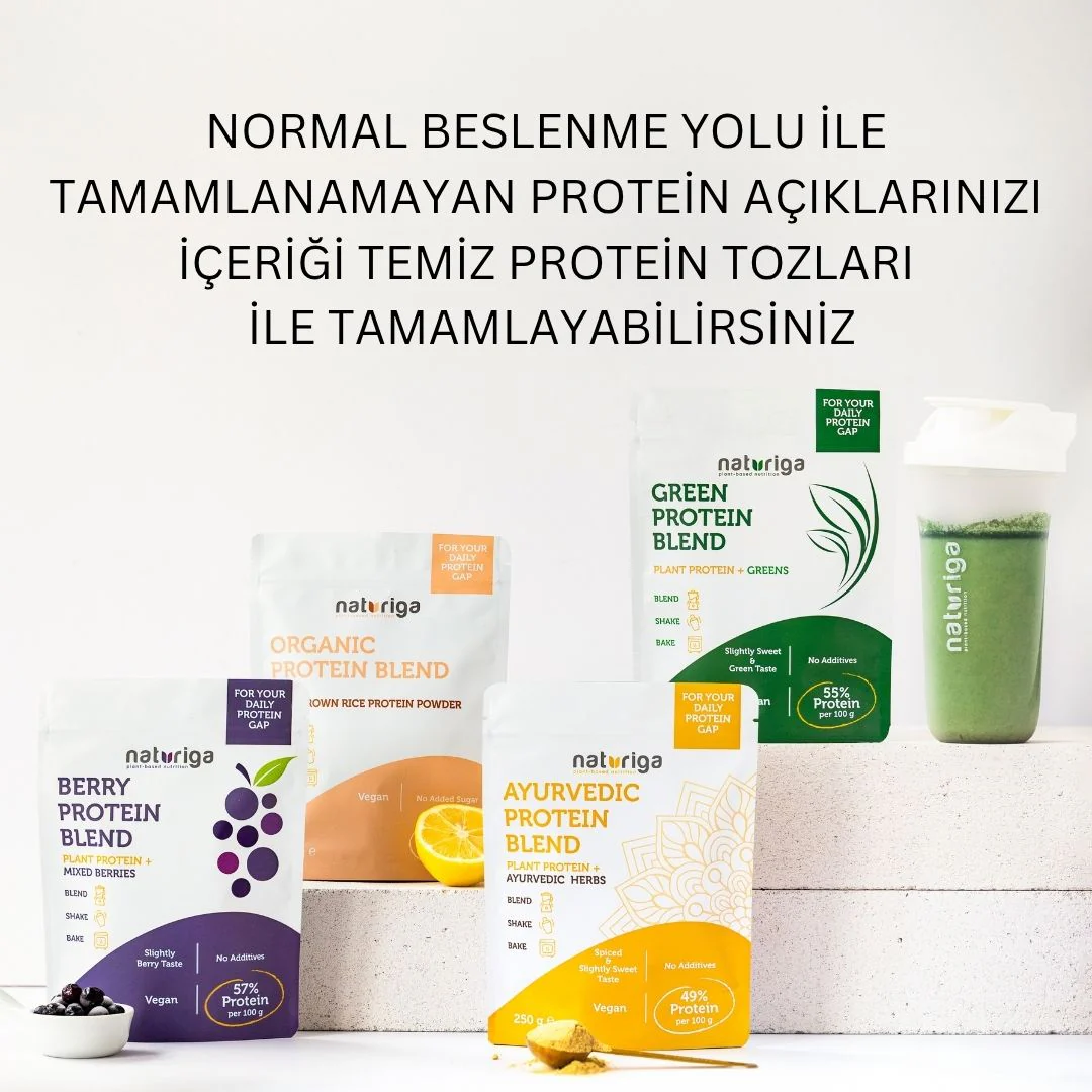 Ayurvedik Protein Karışımı 250 gr - Image 8
